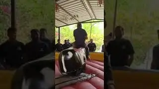 BULL RODEO fights