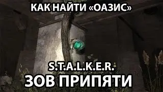 гайд как  найти ОАЗИС S.T.A.L.K.E.R.  Зов Припяти