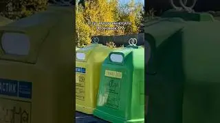Знак Вселенной? #шортс #жиза