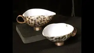 shell coffee cups