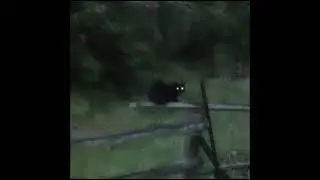 Где фантом? - Я тебя люблю( speed up )
