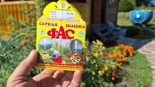 Как Безопасно и Правильно Прожечь Серную Шашку в Подвале.
