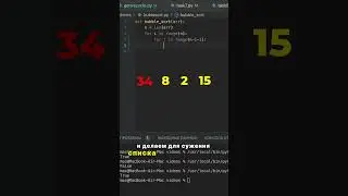 Сортировка пузырьком в Python за 1 МИНУТУ!