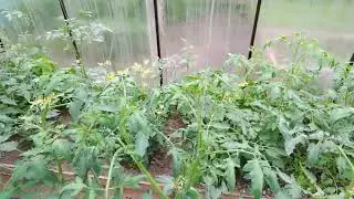 Жизнь на даче пенсионеров 👍Готовимся к зиме 😊