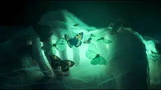 Wolf Street - Icy Night ( Extended )