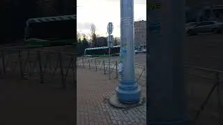 22 ноября 2024 г. 