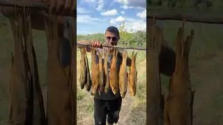 Жерех 👉 https://t.me/DjoniAko