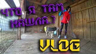 ☑️ VLOG / Прогулка по лесу / Уборка вольера
