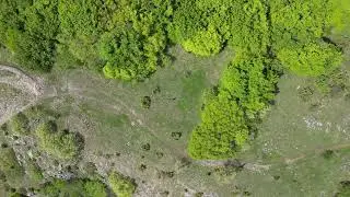 Връх Малка Лалина могила (1177 м.) - Лозенска Ихтиманска Средна гора - 20230524154533