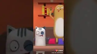 Сыграли песню