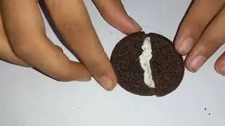 Demonstration on Plate Tectonic Movement with the help of Oreo Biscuit