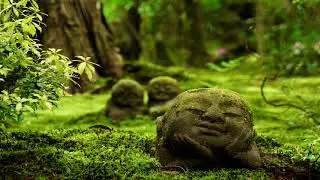 Traditional Japanese Music | Forest Spirits | Japanese Koto & Shakuhachi
