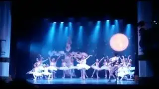 Grupo Juvenil da Edtam- Dryads - Don Quixote 2014