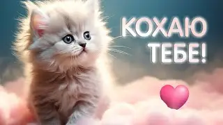 Кохаю тебе! Вітаю з днем всіх Закоханих!