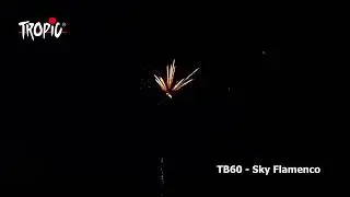 TB60   TROPIC Fireworks, Fajerwerki, Feuerwerk, Vuurwerk, Feu d'artifice