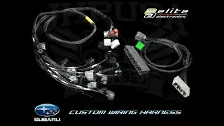 Subaru Custom Harness for H6 EZ30 Vipec
