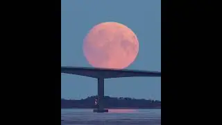 Moon Bridge