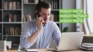 Ամերիա Բիզնես