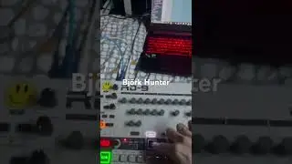 Björk - Hunter on the RD-9