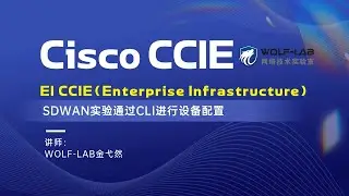 EI CCIE培训理论技术讲解-SDWAN实验通过CLI进行设备配置