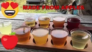 HAMMERED DWARF CIDER  Dogs in Pubs 12