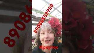 рассада Иркутск
