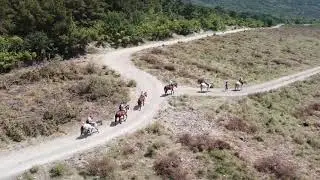 Конные прогулки  в Геленджике в 2024 году