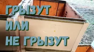 Ответ на вопрос, грызут пчелы пеноплэкс или нет?