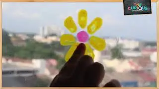 DIY Window Clings