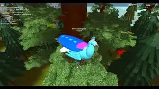 Roblox | Feather Family | Peafowl Showcase