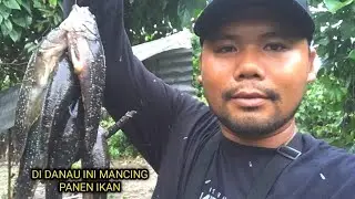 FULL STRAKE || UMPANNYA CUMA PAkE AYAM SAMA IKAN MOMAR