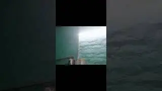 #trending #viral #home #india #shorts