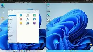 Windows 11 Fake vs Windows 11 Real