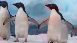 Dancing dance