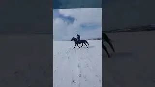 Заходите Канал ферма золотой бычок