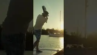 Who doesn't want to be On The Boat Again 