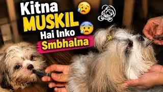 Aj To Bal Bal Bache 😳 | Jennykimasti 🐶