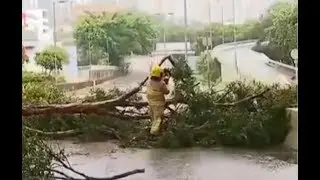 Typhoon Mangkhut leaves trail of destruction | CCTV English
