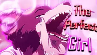 𝙏𝙝𝙚 𝙋𝙚𝙧𝙛𝙚𝙘𝙩 𝙂𝙞𝙧𝙡