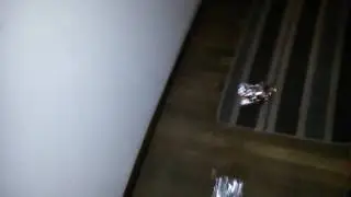 Foiled Again