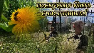 жизнь в моменте! чудеса вокруг нас,прогулка и одуванчики)