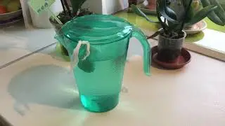 ЧЕСНОЧНАЯ ВОДА ДЛЯ ПОЛИВА ОРХИДЕЙ