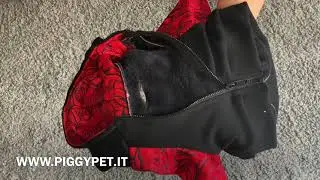 Felpa Lips & Roses Frenchiestore - PIGGY PET