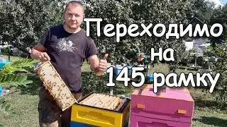 230+145/Оцінка тесту утримання бджіл на рутівському корпусі з магазинами
