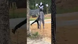 Kansas City Renaissance Festival 2024