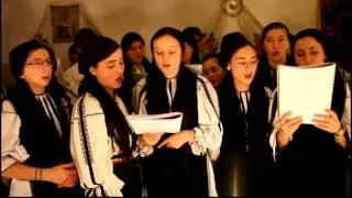 Oasa 2012 O.T.S. (Raiule gradina dulce)