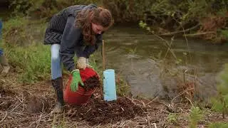 SALMON AND STREAMS | with the whatcom conservation district