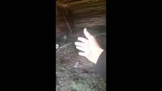 Видео от подписчика  - интересно как у него сейчас там