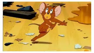 Tom and Jerry | funny cartoons