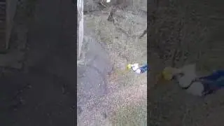 роупджампинг в ставрополе